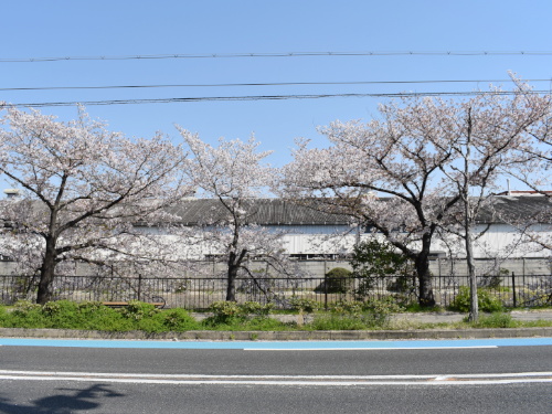 日産車体前バス停付近